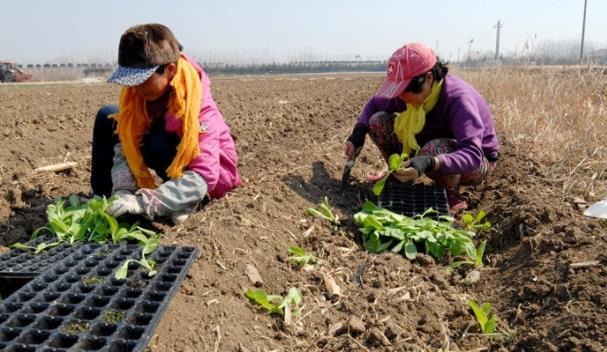 打好2022年農(nóng)業(yè)生產(chǎn)第一仗 青島即墨區(qū)扎實推進春耕工作